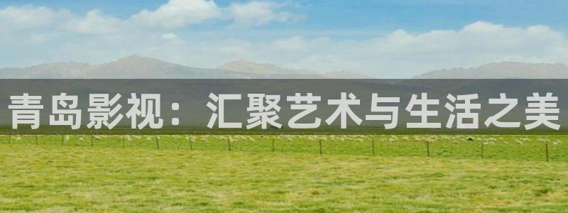 樱桃视频窗口