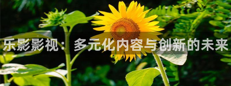 樱桃视频大全免费高清版