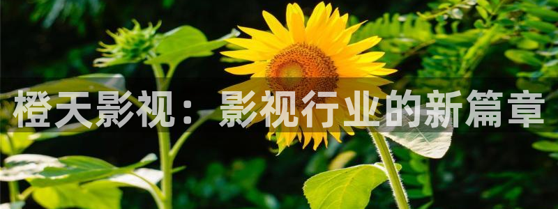 樱桃电视剧在线观看免费完整版