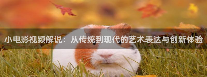 樱桃有几种