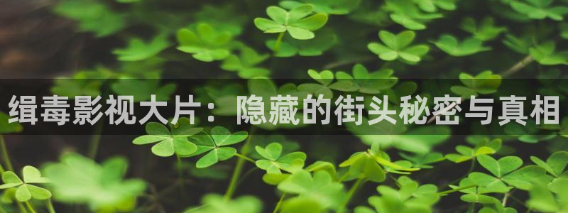 樱桃视频在线视频观看