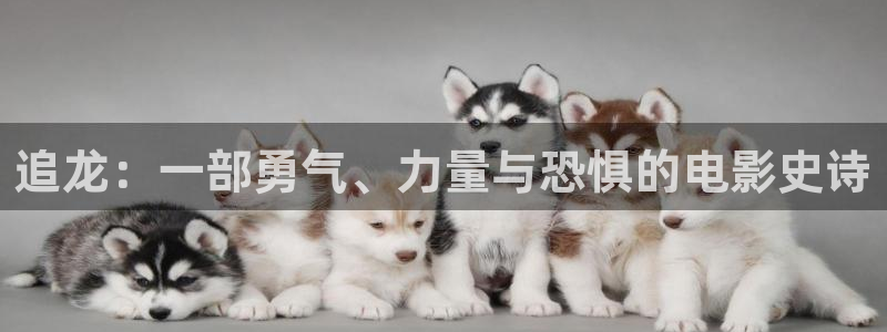 樱桃什么视频