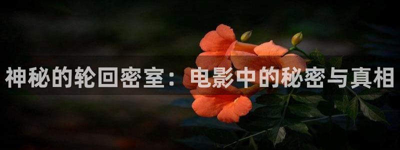 久久精品国产亚洲精品红樱桃影视