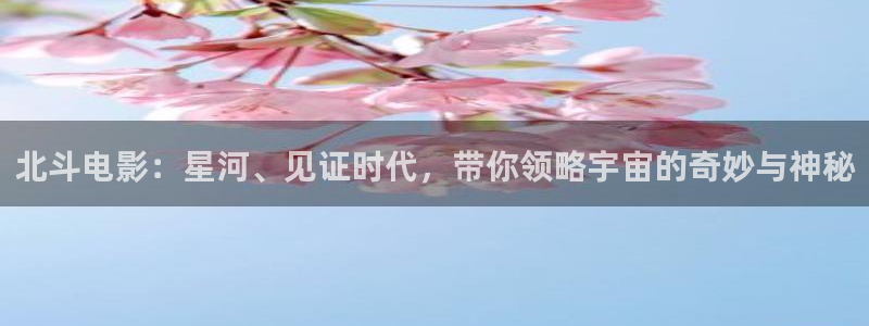 的樱桃