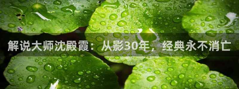 大的樱桃