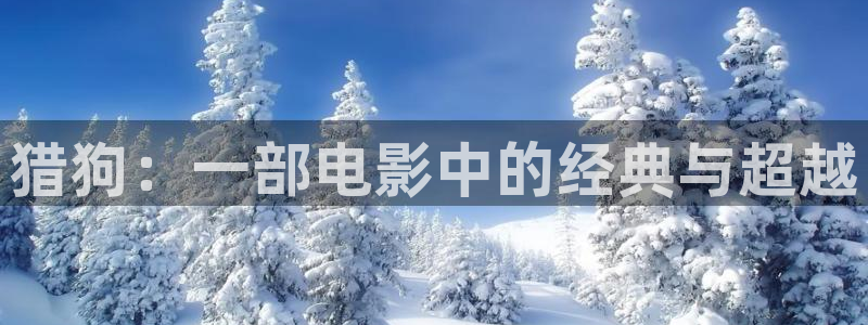 樱桃免费观看高清完整