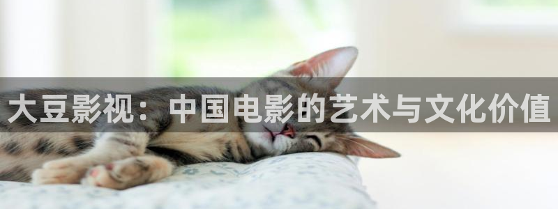樱桃视频在线首页