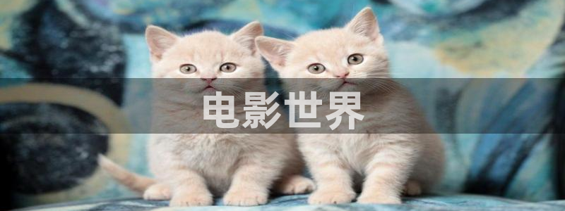 樱桃成年视频