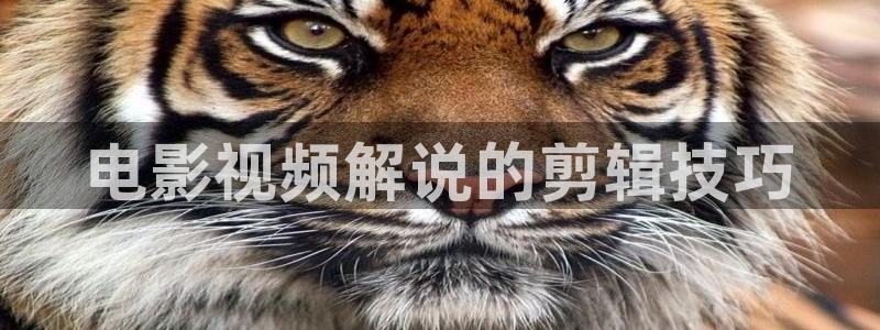 樱桃直播在线观看视频