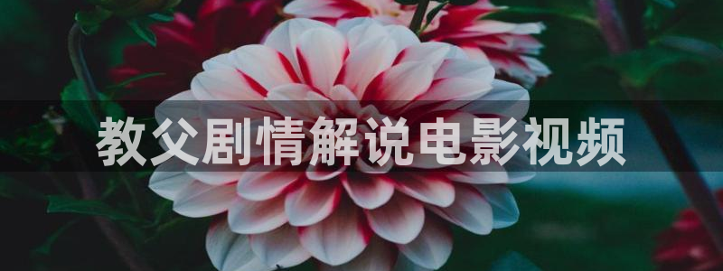 免费看樱桃视频