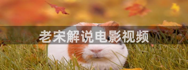 樱桃影视软件