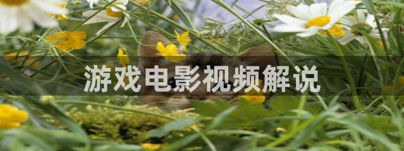 樱桃视频app官网