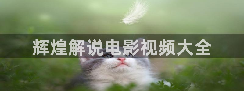 的樱桃