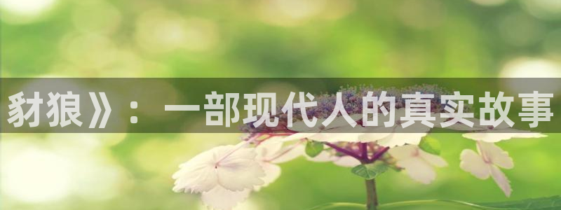 樱桃免费视频.：豺狼》：一部现代人的真实故事