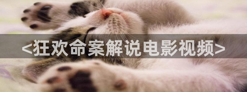 樱桃视频99：<狂欢命案解说电影视频>