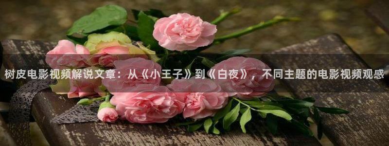 樱桃电影大全电视剧在线观看：树皮电影视频解说文章：从《小王子》到《白夜》，不同主题的电影视频观感