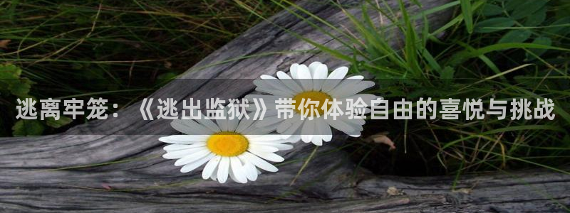 樱桃大全视频：逃离牢笼：《逃出监狱》带你体验自由的喜悦与挑战