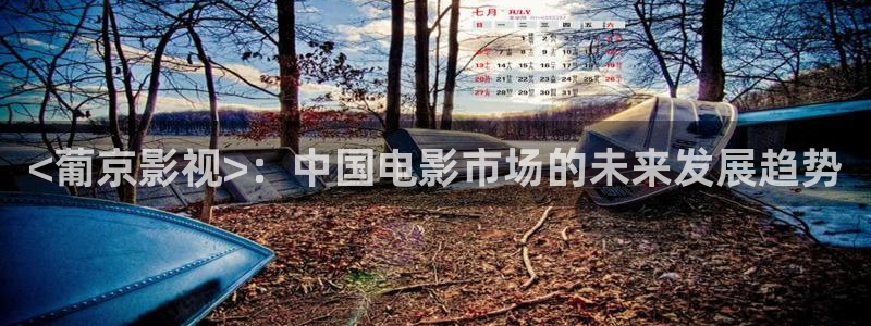 樱桃视频app下载网址：<葡京影视>：中国电影市场的未来发展趋势