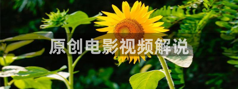樱桃动漫专门专注动漫的门户网：原创电影视频解说