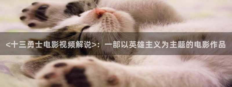 草莓樱桃向日葵视频：<十三勇士电影视频解说>：一部以英雄主义为主题的电影作品