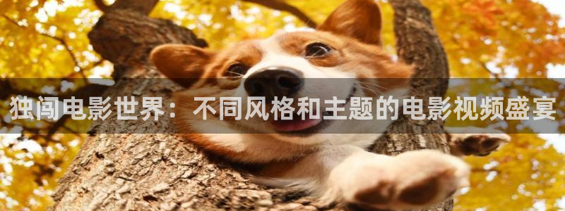 榴莲视频樱桃视频：独闯电影世界：不同风格和主题的电影视频盛宴