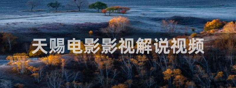 樱桃电视剧免费观看：天赐电影影视解说视频