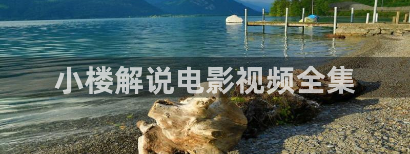 樱桃大视频下载区：小楼解说电影视频全集
