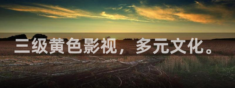 樱桃小视频：三级黄色影视，多元文化。