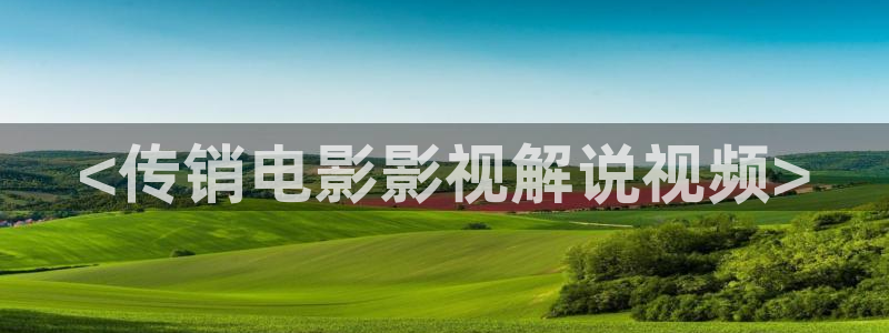 樱桃视频app官网下载：<传销电影影视解说视频>