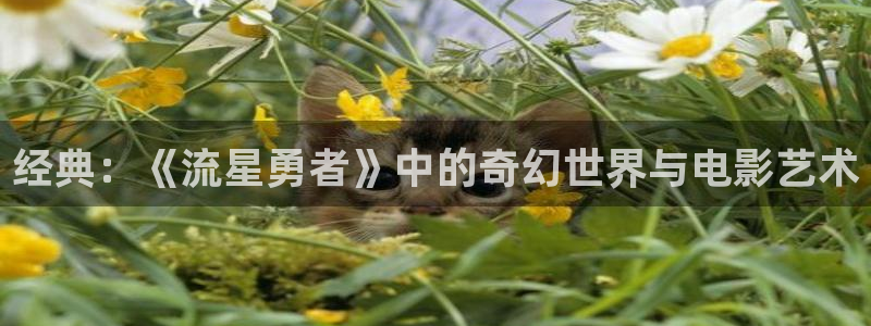樱桃萝卜种植视频：经典：《流星勇者》中的奇幻世界与电影艺术