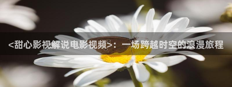 关于樱桃的视频：<甜心影视解说电影视频>：一场跨越时空的浪漫旅程