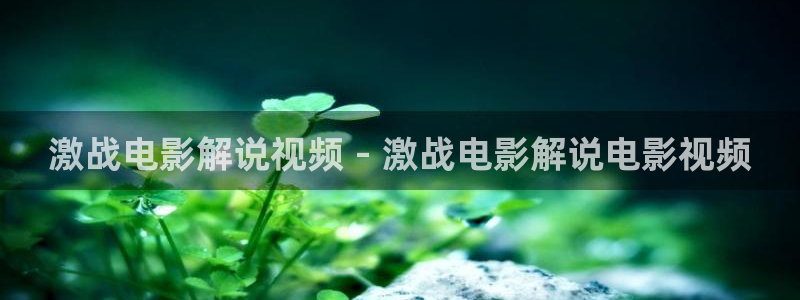 樱桃视频午夜：激战电影解说视频 - 激战电影解说电影视频