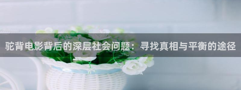 樱桃种植管理的视频