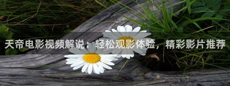 樱桃 视频 成人
