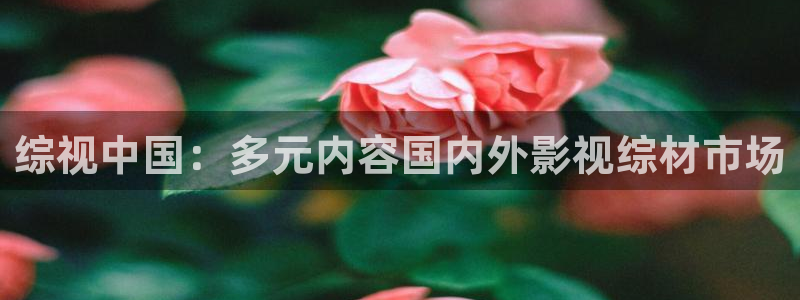 樱桃视频在线下载app
