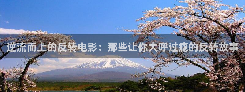 樱桃视频在线观看免费高清完整版：逆流而上的反转电影：那些让你大呼过瘾的反转故事