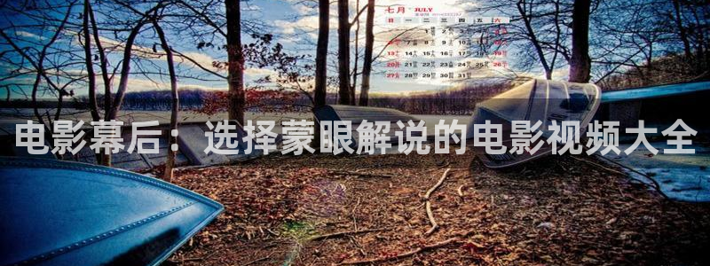 樱桃视频影视在线观看免费：电影幕后：选择蒙眼解说的电影视频大全
