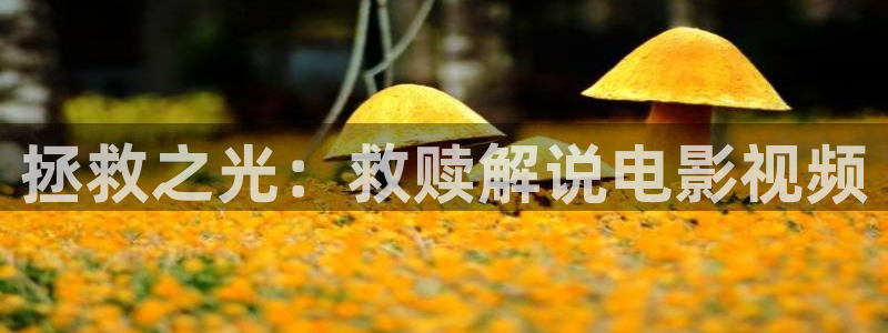 美国电影 樱桃：拯救之光：救赎解说电影视频