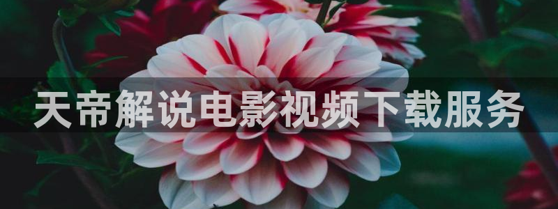 樱桃影视网：天帝解说电影视频下载服务