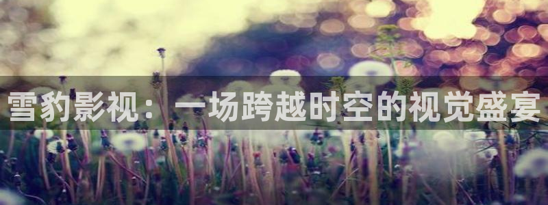 樱桃红视频在线观看免费：雪豹影视：一场跨越时空的视觉盛宴