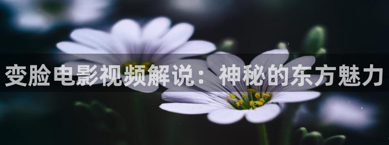 樱桃影院免费观看电视剧大全在线观：变脸电影视频解说：神秘的东方魅力