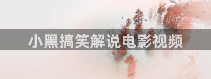 樱桃网页视频：小黑搞笑解说电影视频