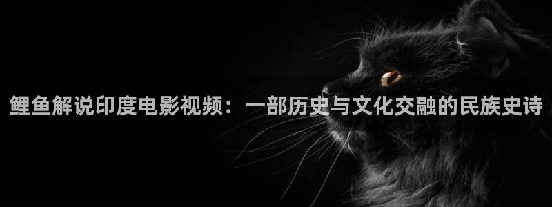 樱桃视频应用：鲤鱼解说印度电影视频：一部历史与文化交融的民族史诗