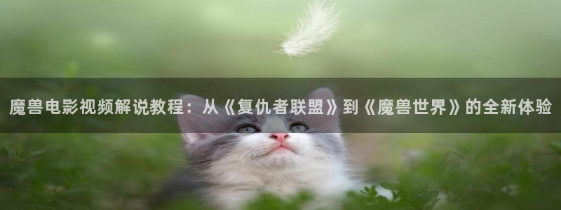 樱桃视频高清免费大全：魔兽电影视频解说教程：从《复仇者联盟》到《魔兽世界》的全新体验