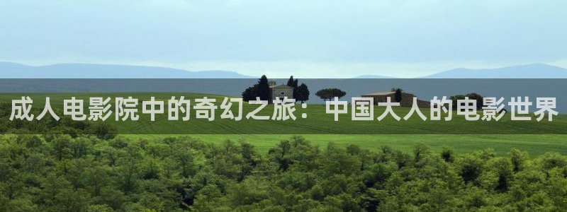 小小樱桃在线观看免费高清电视剧：成人电影院中的奇幻之旅：中国大人的电影世界