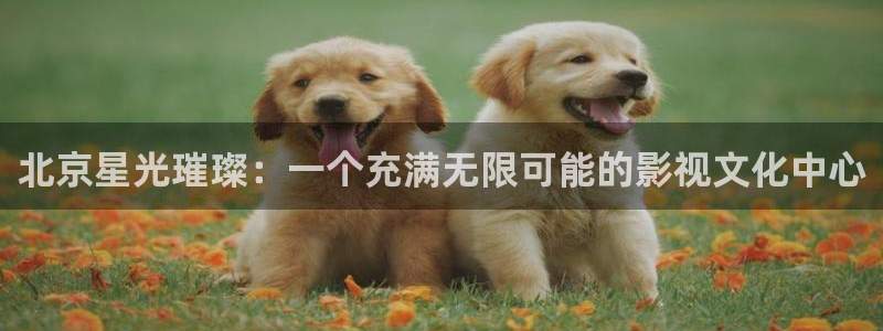 大樱桃蜜露品种介绍视频：北京星光璀璨：一个充满无限可能的影视文化中心