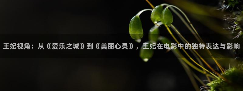 黄色 樱桃视频：王妃视角：从《爱乐之城》到《美丽心灵》，王妃在电影中的独特表达与影响
