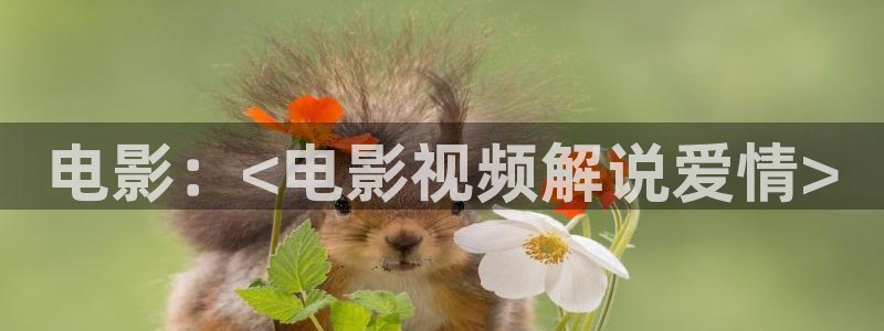樱桃视频在线入口：电影：<电影视频解说爱情>
