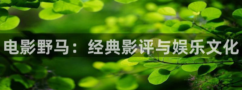 日本樱桃视频：电影野马：经典影评与娱乐文化