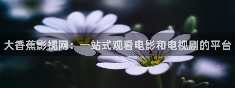 樱桃樱桃app下载：大香蕉影视网：一站式观看电影和电视剧的平台